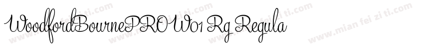 WoodfordBournePROW01 Rg Regular字体转换